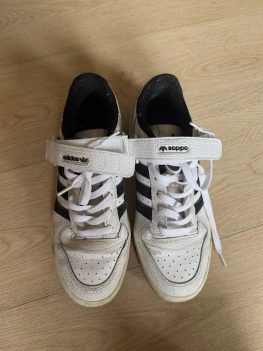 Adidas forum lows